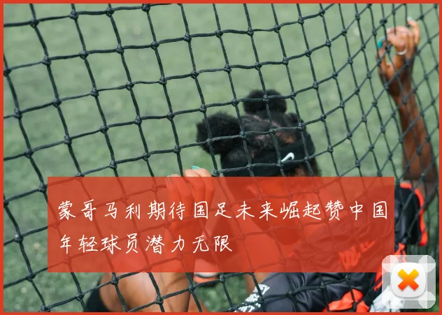 蒙哥马利期待国足未来崛起赞中国年轻球员潜力无限